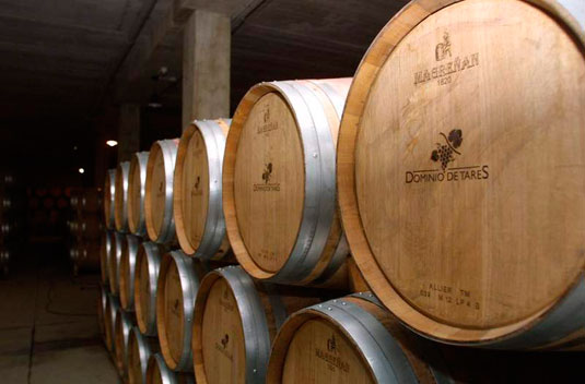 Bodega Domino de Tares - Bierzo