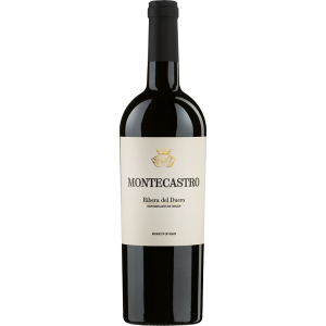 Montecastro