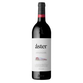 Aster Crianza