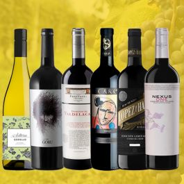 Vinos Excepcionales